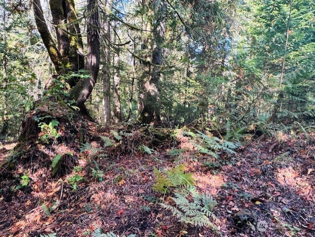 0 E Agate Road , Shelton, WA 98584