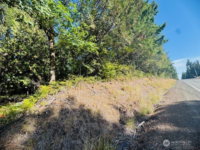 0 E Agate Road , Shelton, WA 98584