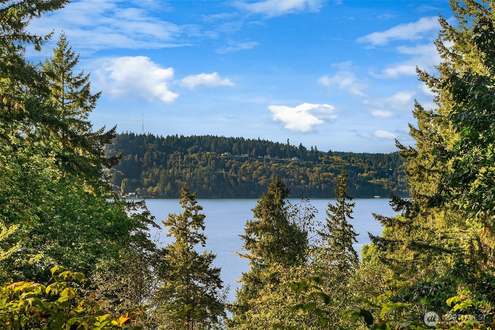 12423 SW 151st St , Vashon, WA 98070