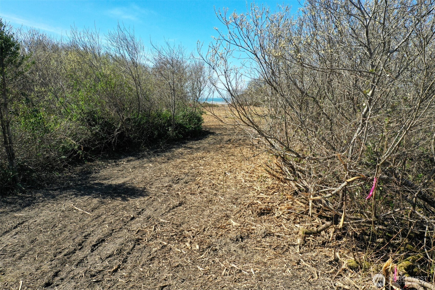 4801 State Route 109 , Moclips, WA 98562