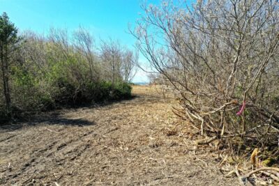 4801 State Route 109 , Moclips, WA 98562 - Photo 23