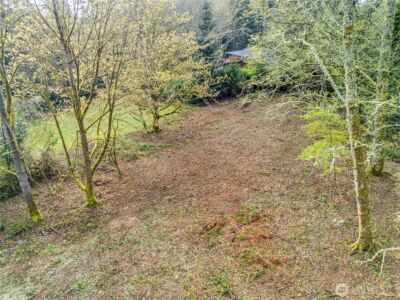 9811 NE Rose Trail Lane , Bainbridge Island, WA 98110 - Photo 11