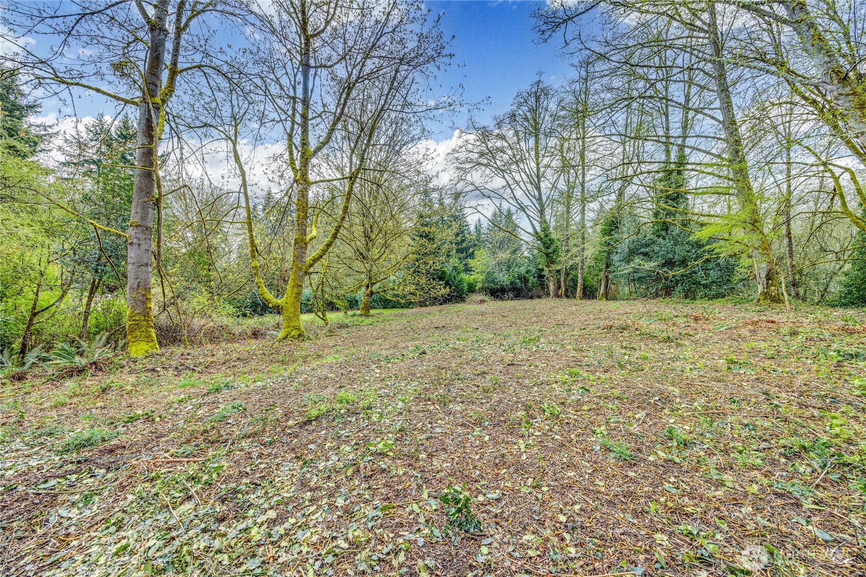 9811 NE Rose Trail Lane , Bainbridge Island, WA 98110