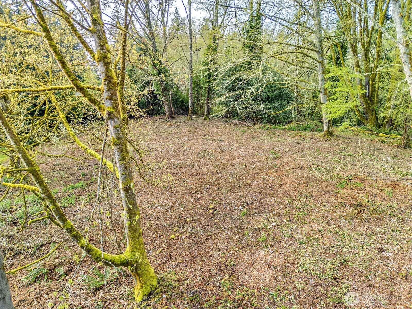 9811 NE Rose Trail Lane , Bainbridge Island, WA 98110