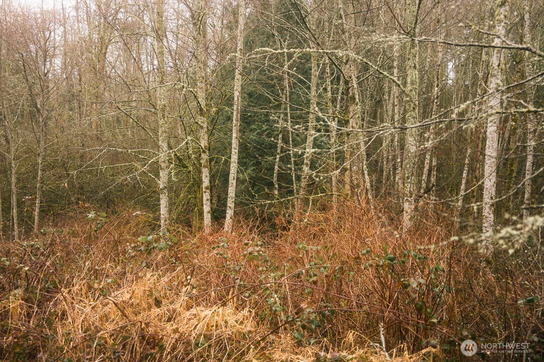 950 Yew Street , Bellingham, WA 98229