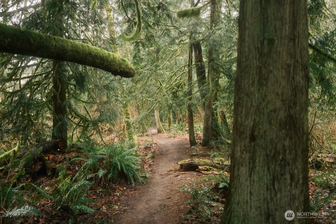 950 Yew Street , Bellingham, WA 98229