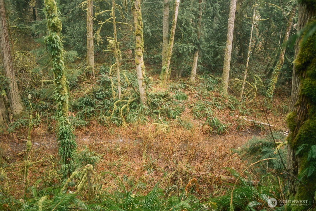 950 Yew Street , Bellingham, WA 98229