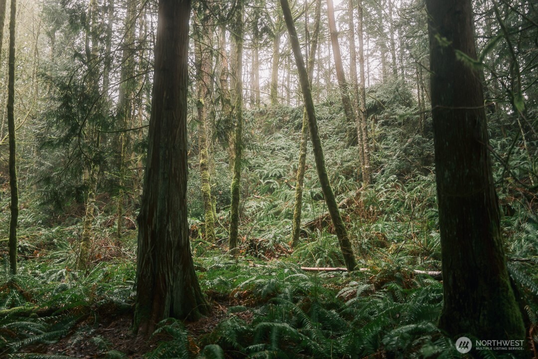 950 Yew Street , Bellingham, WA 98229