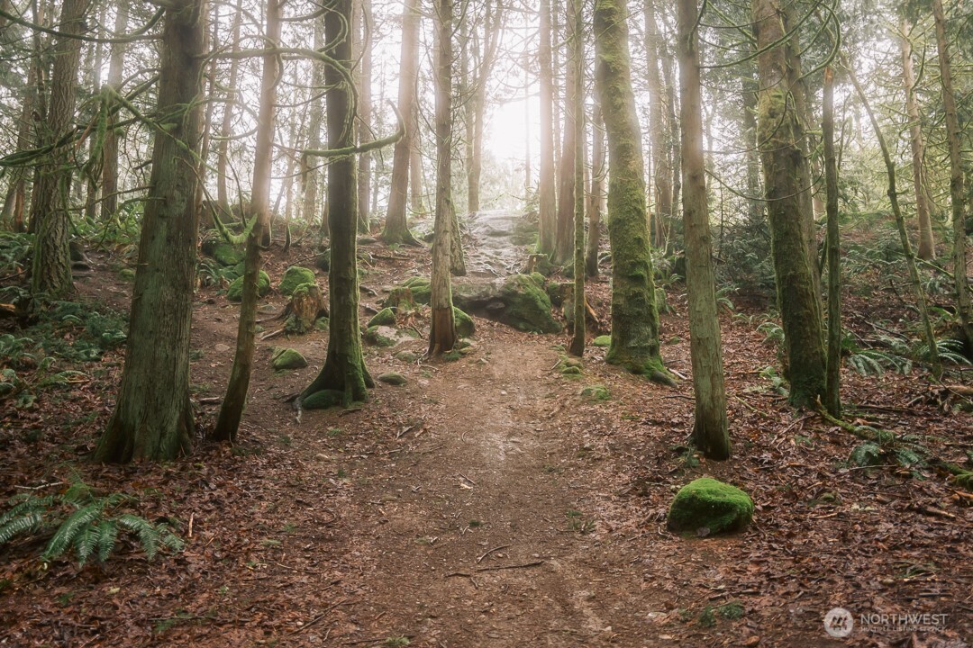 950 Yew Street , Bellingham, WA 98229