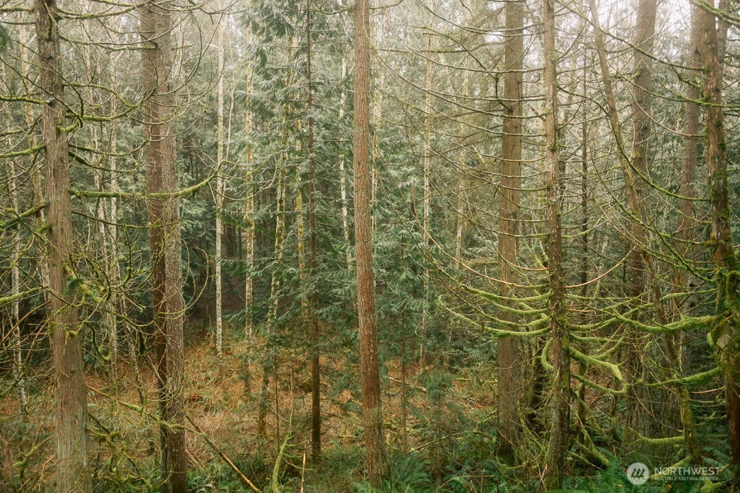 950 Yew Street , Bellingham, WA 98229