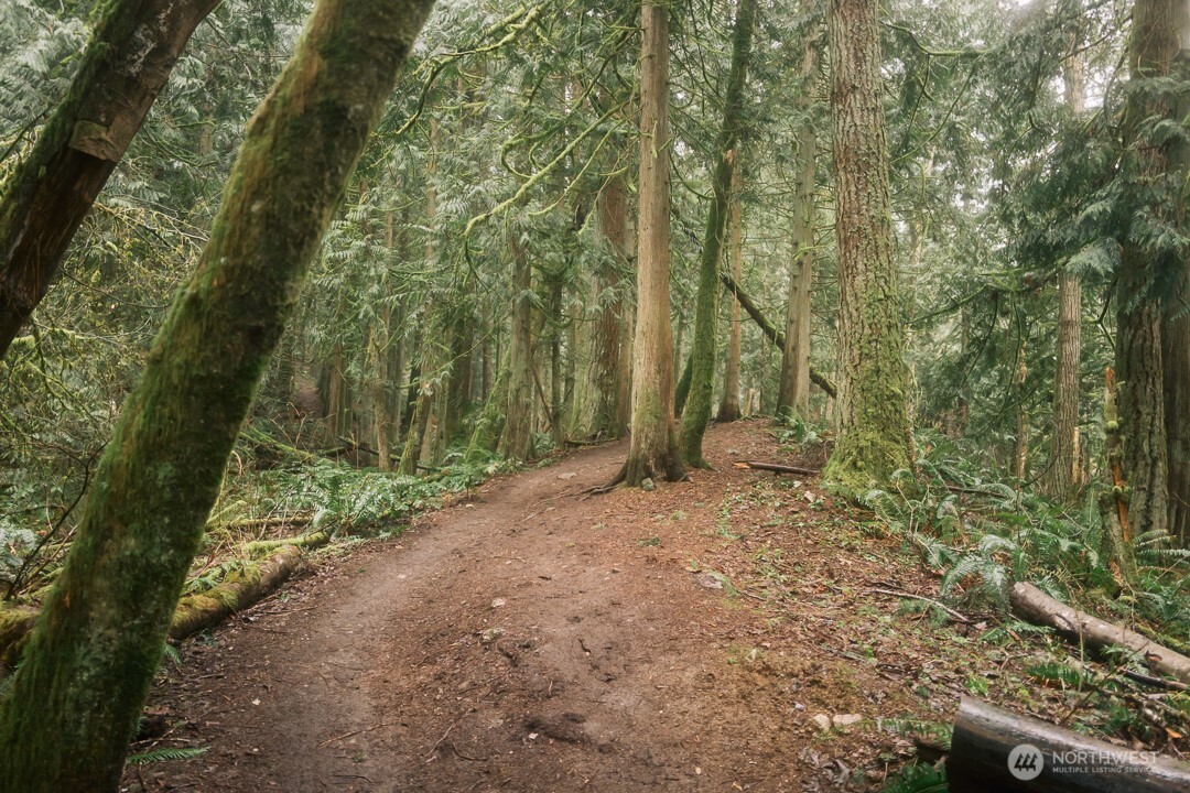 950 Yew Street , Bellingham, WA 98229