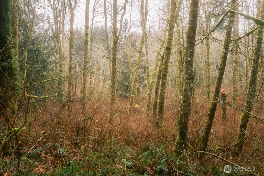 950 Yew Street , Bellingham, WA 98229