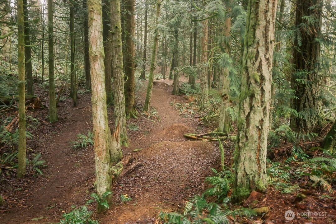 0 Princeton Court , Bellingham, WA 98229