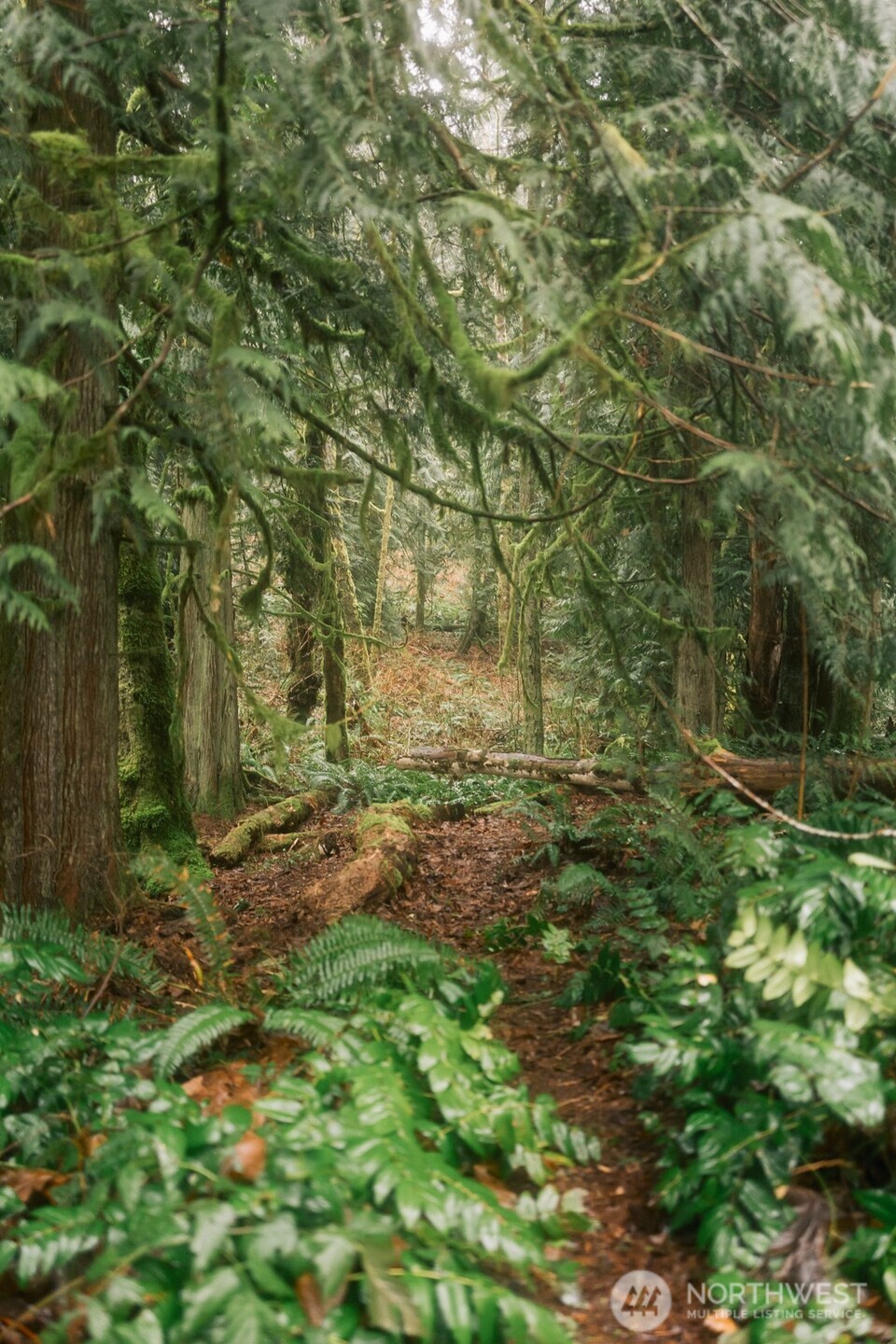 0 Princeton Court , Bellingham, WA 98229