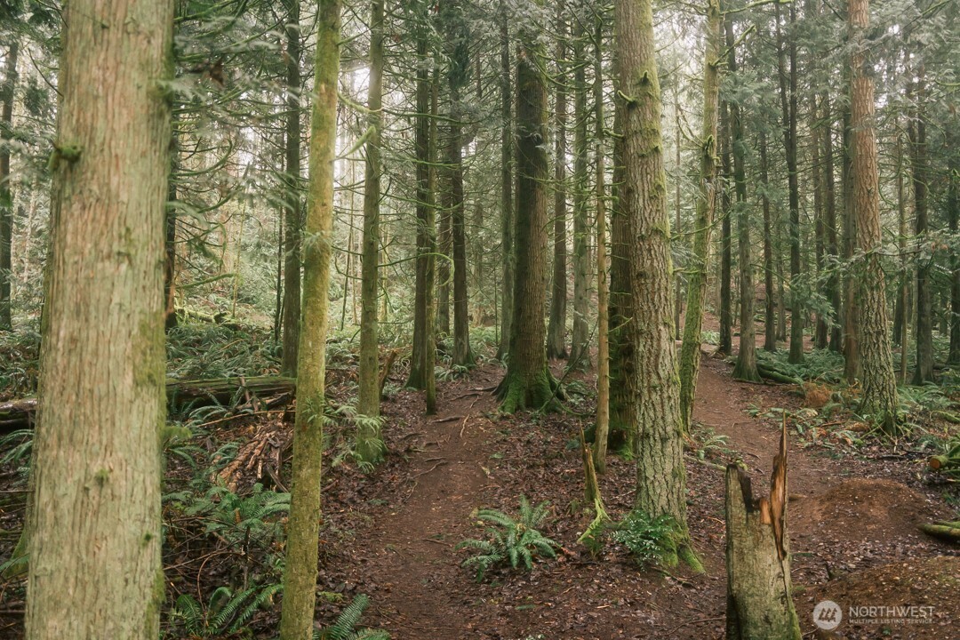 0 Princeton Court , Bellingham, WA 98229