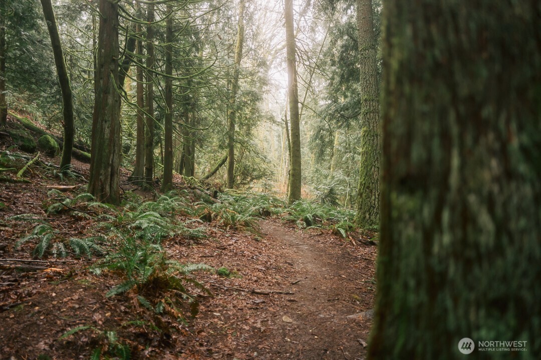 0 Princeton Court , Bellingham, WA 98229