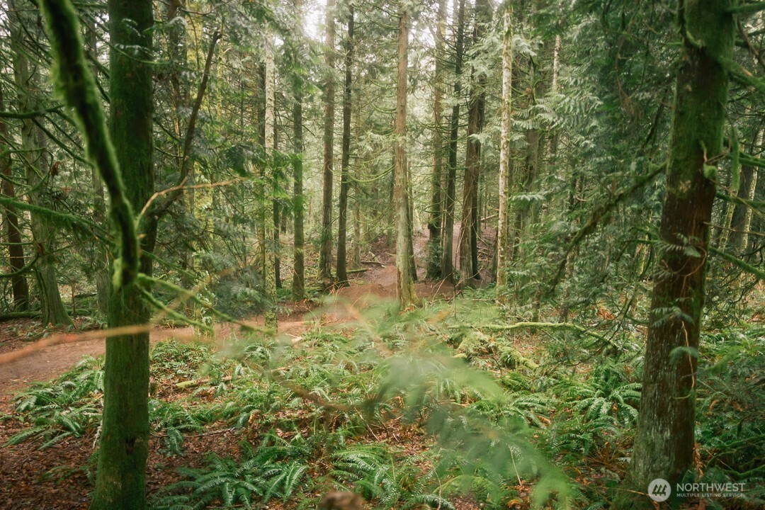 0 Princeton Court , Bellingham, WA 98229