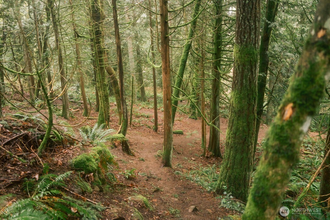 0 Princeton Court , Bellingham, WA 98229