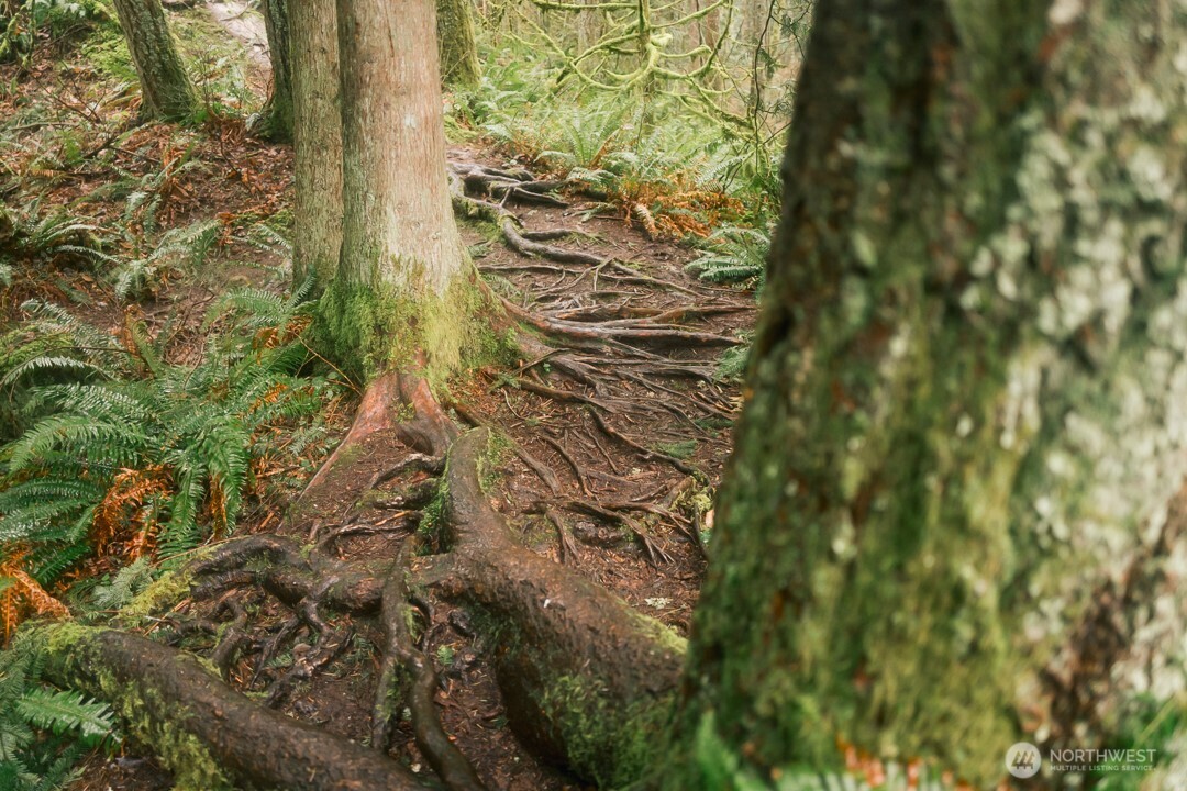 0 Princeton Court , Bellingham, WA 98229