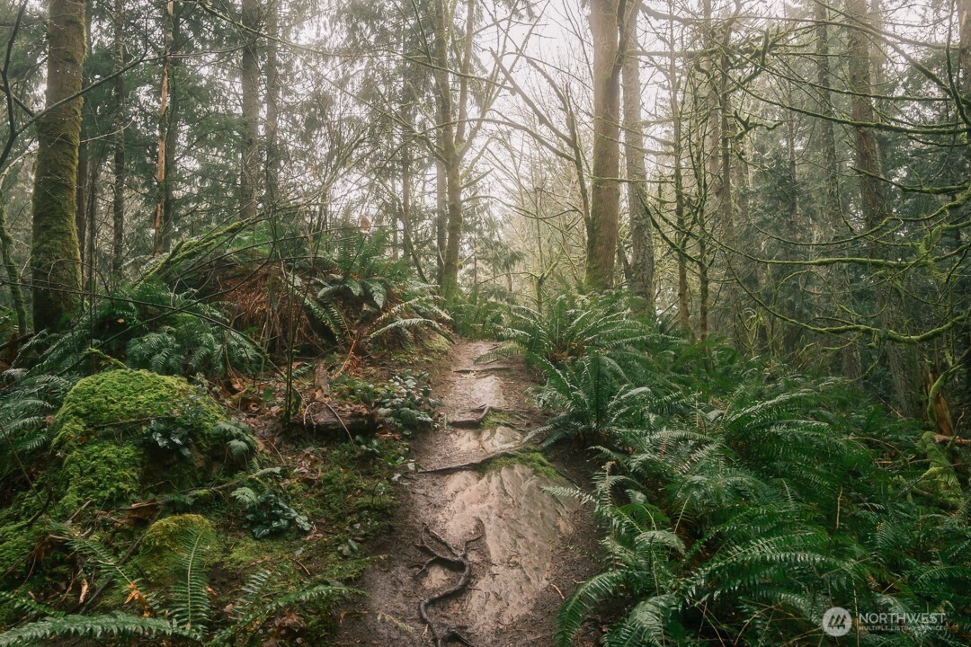 0 Princeton Court , Bellingham, WA 98229