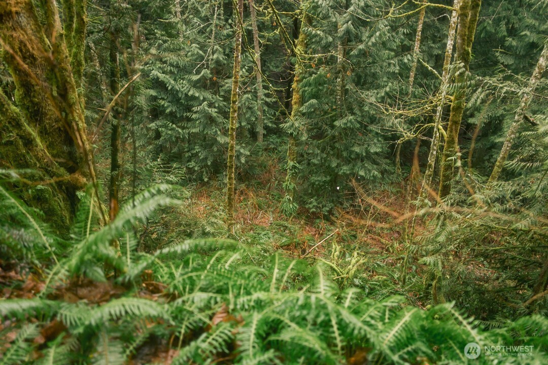 0 Princeton Court , Bellingham, WA 98229