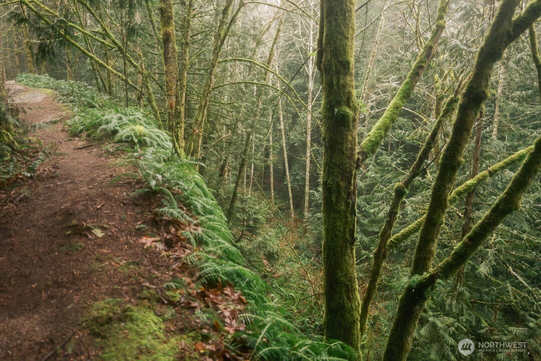 0 Princeton Court , Bellingham, WA 98229