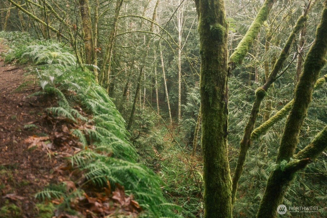 0 Princeton Court , Bellingham, WA 98229