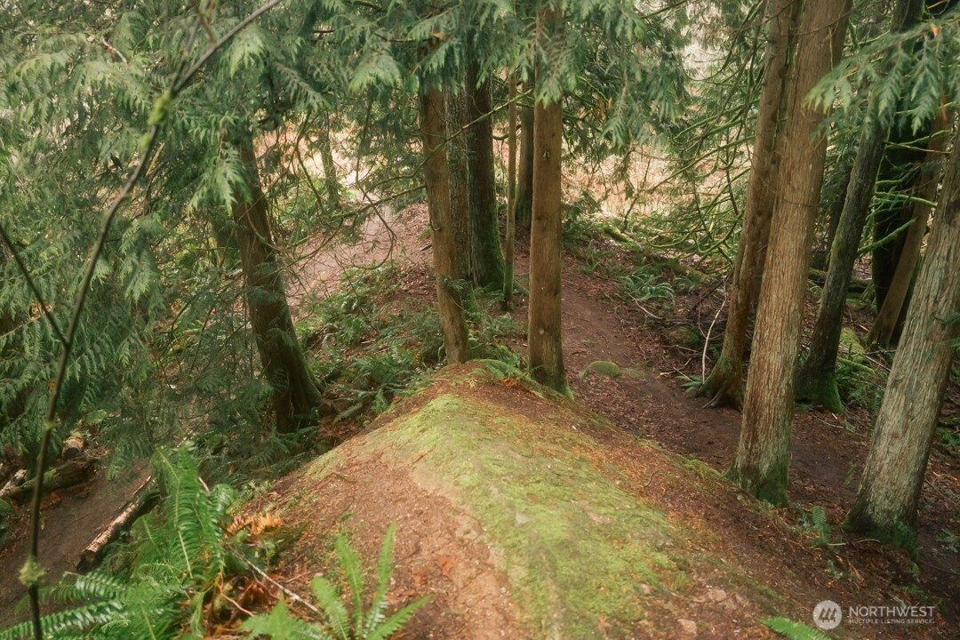 0 Princeton Court , Bellingham, WA 98229