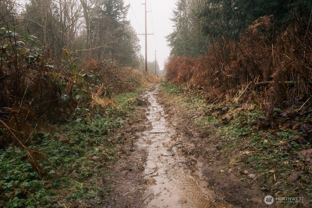 0 Princeton Court , Bellingham, WA 98229