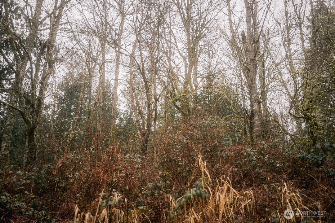 0 Princeton Court , Bellingham, WA 98229