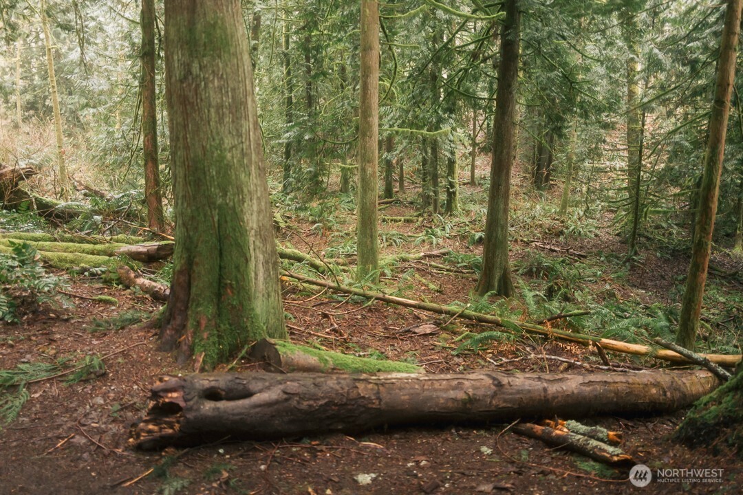 0 Princeton Court , Bellingham, WA 98229