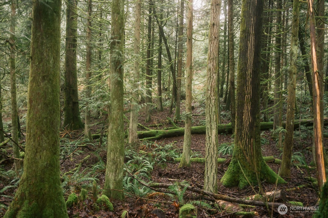 0 Princeton Court , Bellingham, WA 98229