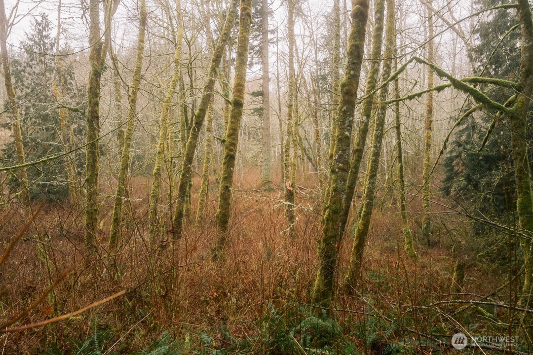 0 Princeton Court , Bellingham, WA 98229