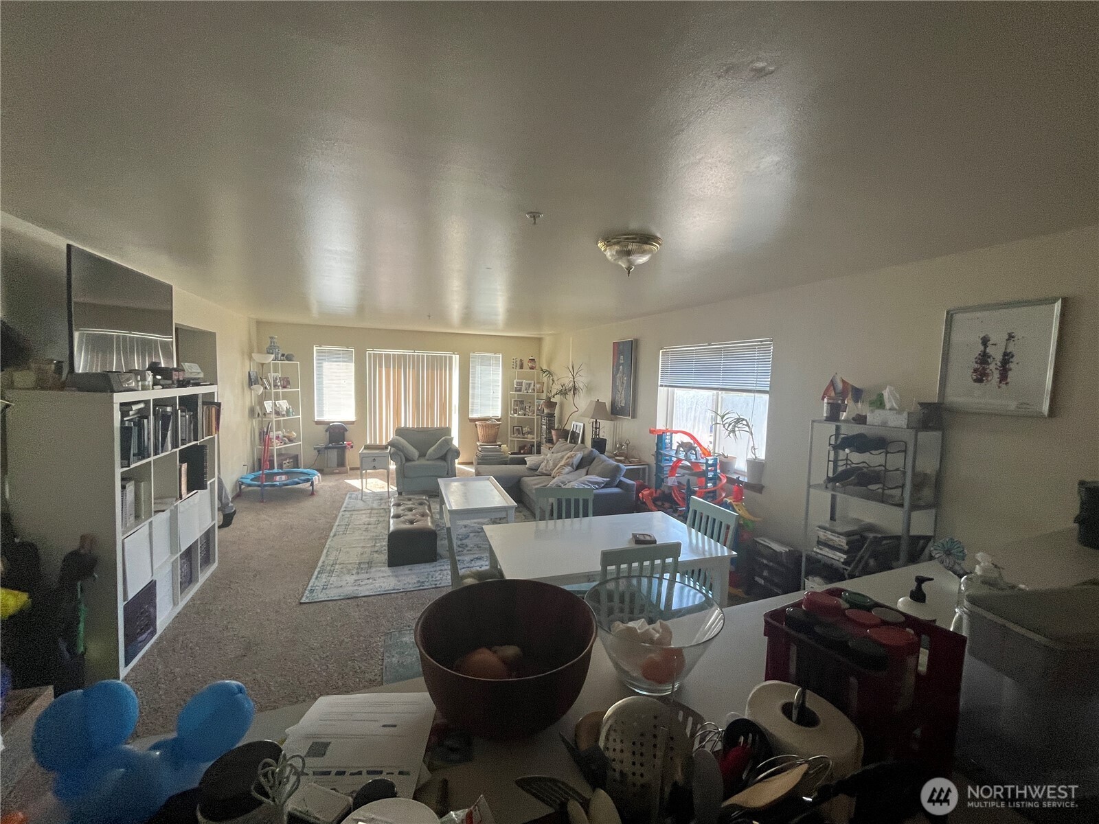 8830 Nesbit Avenue N, Seattle, WA 98103