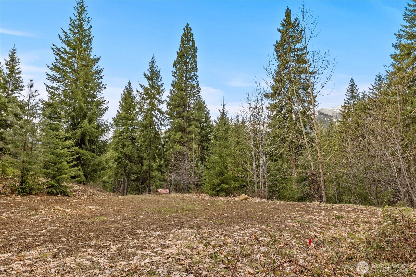 33 Lakeside Court , Ronald, WA 98940