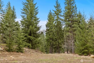 33 Lakeside Court , Ronald, WA 98940 - Photo 4