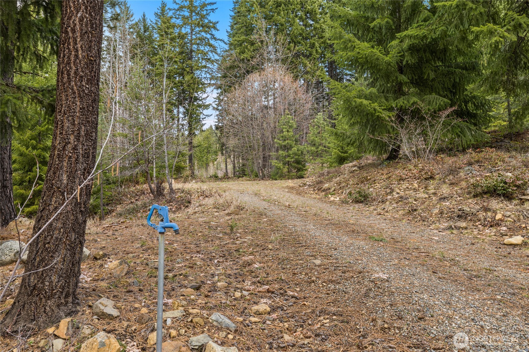 33 Lakeside Court , Ronald, WA 98940