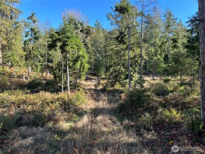 6 Lilypad Place E, Port Orchard, WA 98366