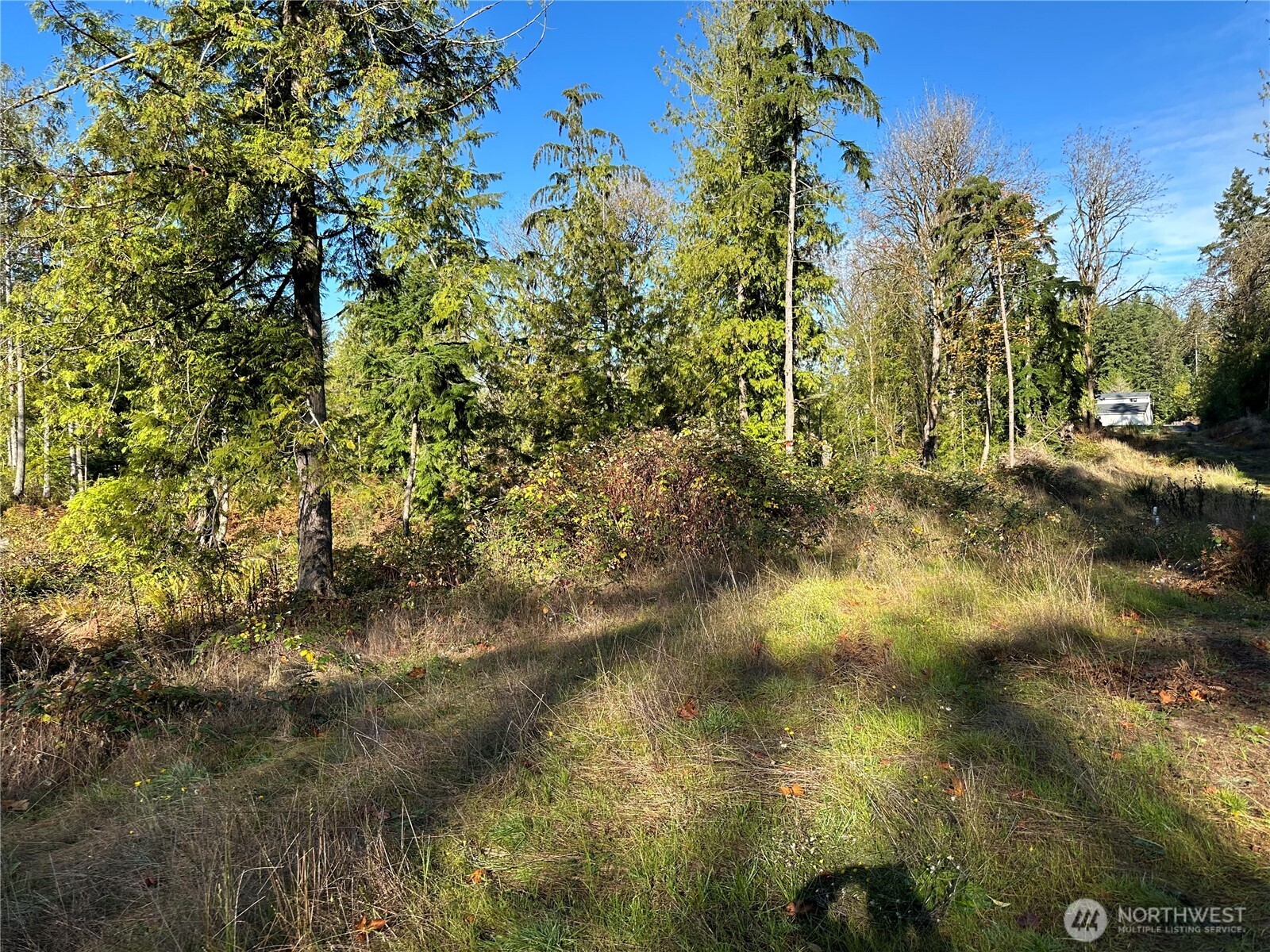 6 Lilypad Place E, Port Orchard, WA 98366