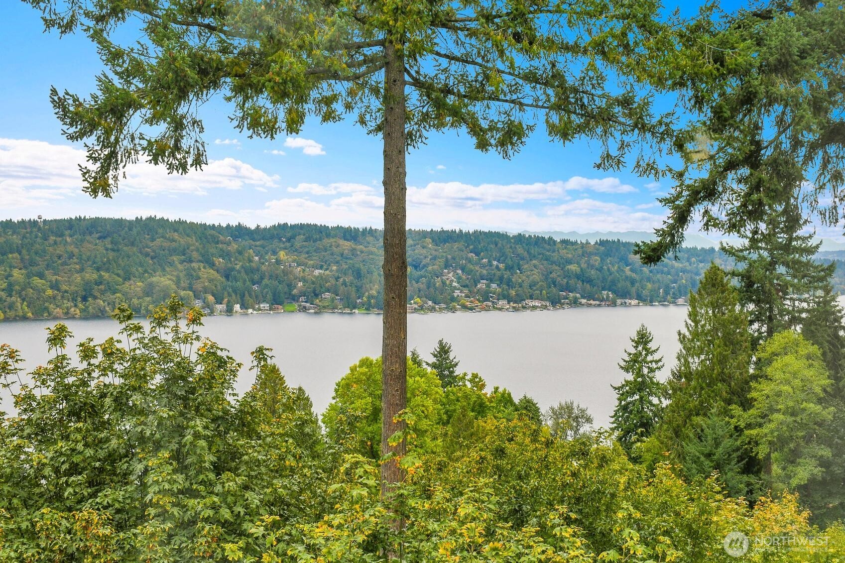 13542 40th Avenue NE, Seattle, WA 98125