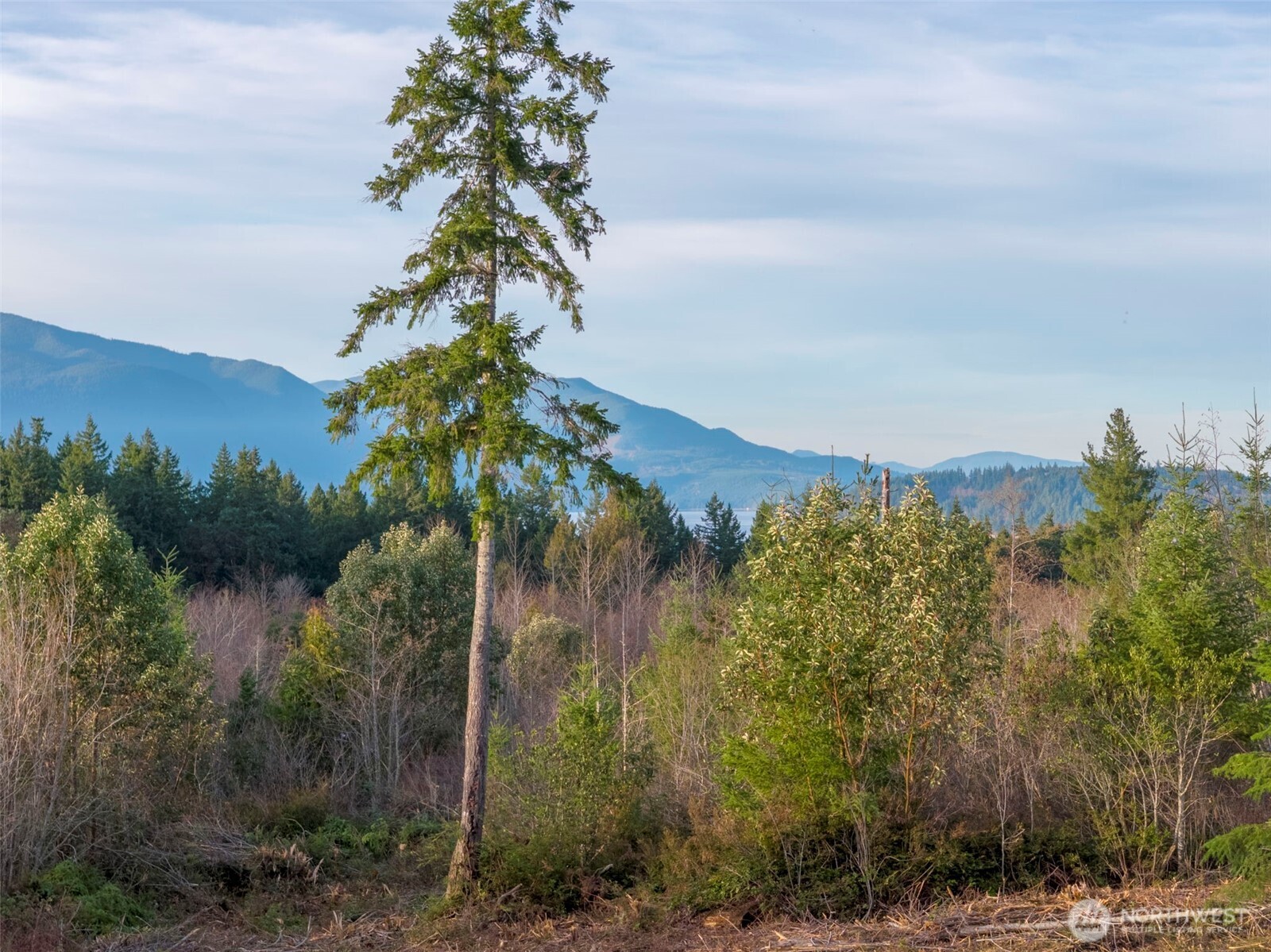 0 Effie Place NW, Seabeck, WA 98380