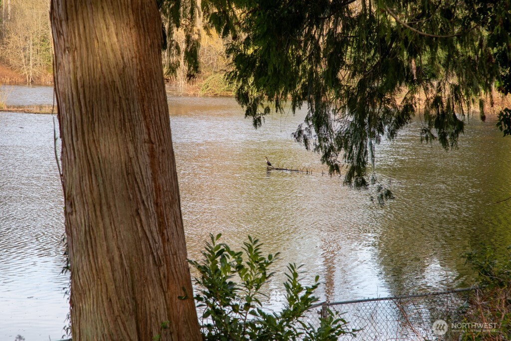 20501 LaRita Drive E, Bonney Lake, WA 98391