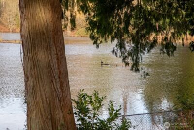 20501 LaRita Drive E, Bonney Lake, WA 98391 - Photo 14