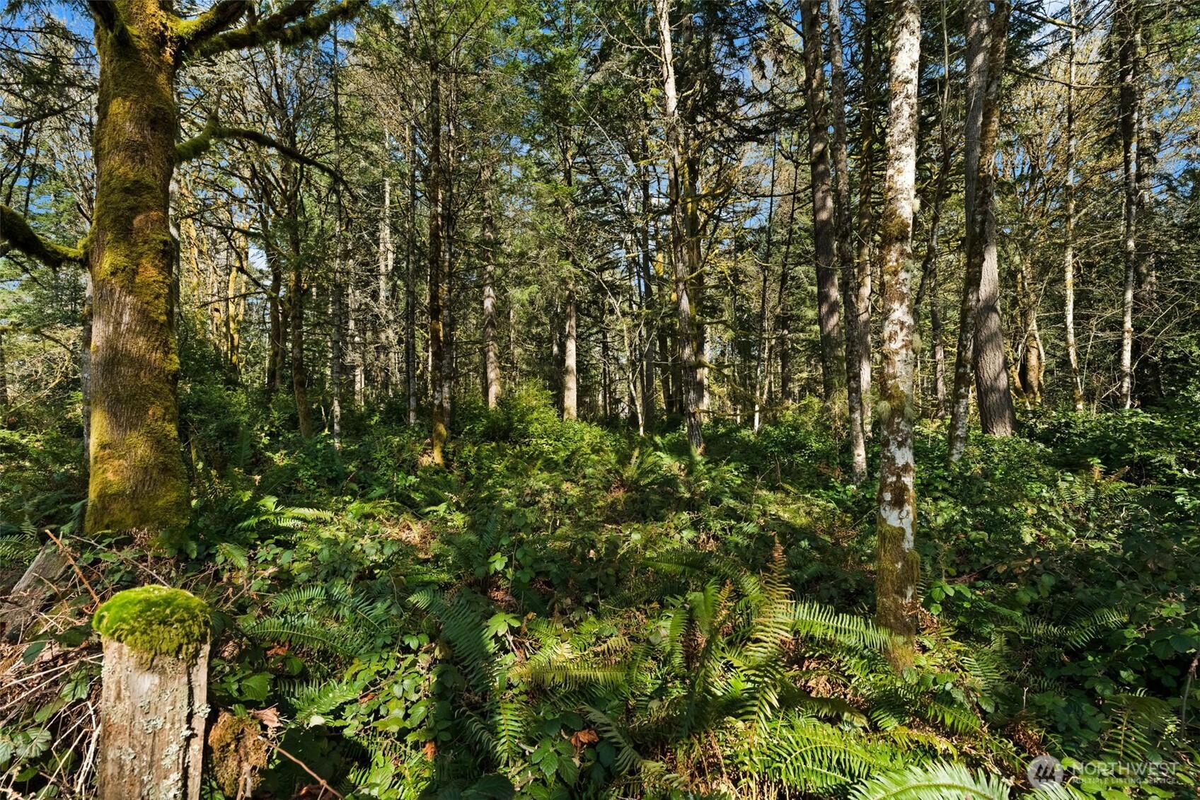 8165 Orchard Avenue SE, Port Orchard, WA 98367