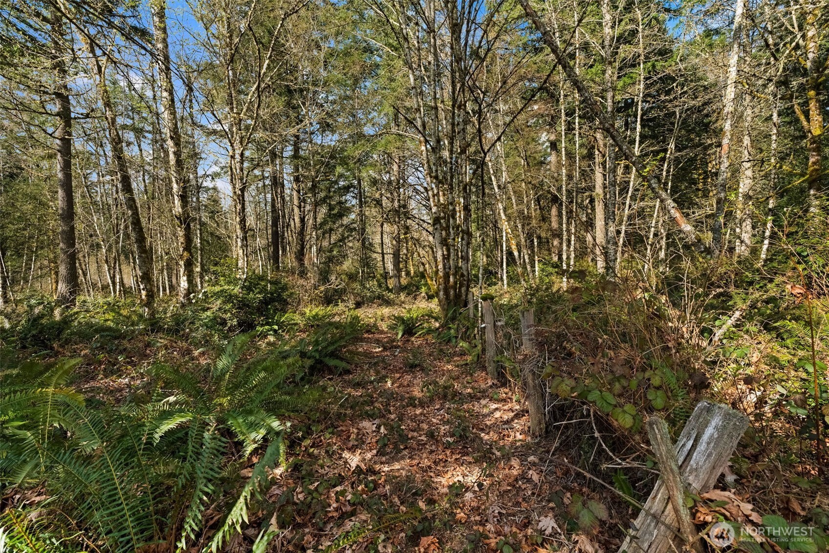 8165 Orchard Avenue SE, Port Orchard, WA 98367