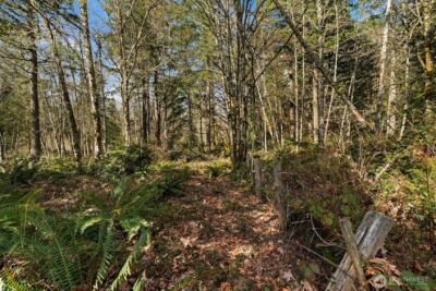 8165 Orchard Avenue SE, Port Orchard, WA 98367 - Photo 28