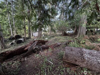 9810 Channel Drive NW, Olympia, WA 98502 - Photo 5