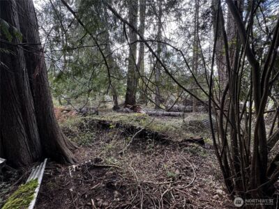 9810 Channel Drive NW, Olympia, WA 98502 - Photo 6