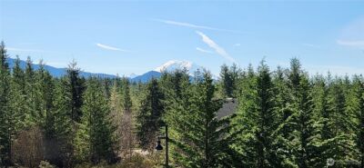 31538 SE 278th Place , Ravensdale, WA 98051 - Photo 3