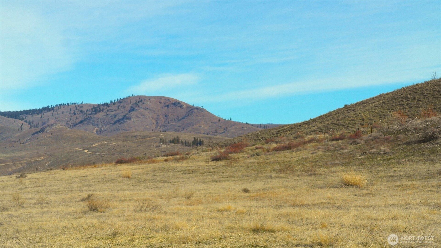 4 Brook Trout Lane , Methow, WA 98834